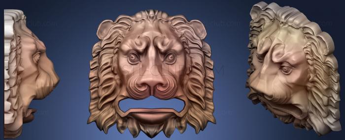 Lion Head